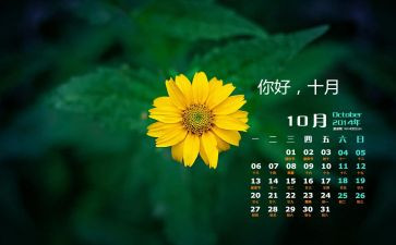 中班10月工作总结8篇