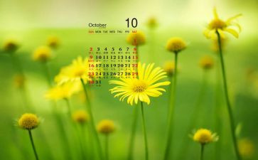 大班月计划10月份月计划8篇