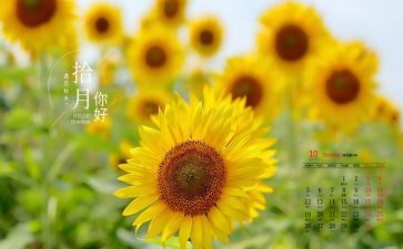 幼儿园10月份工作总结范文8篇