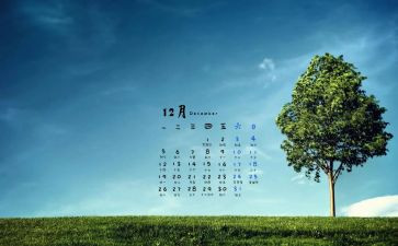 12月安全工作总结8篇