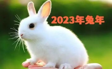 2023体育部工作总结精选7篇