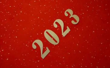 作文2023年我的计划6篇