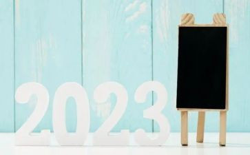 2023年护理教学总结7篇