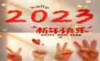 2023年服装店长工作计划优秀8篇