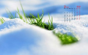 2月小班工作总结6篇