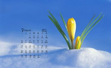 思想汇报20233月份季度思想汇报7篇