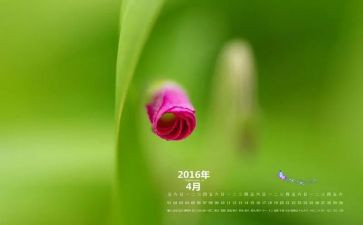 幼儿园4月活动总结推荐5篇