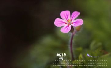 财务4月工作总结7篇