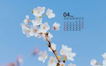 2024年4月爱国卫生月活动总结7篇