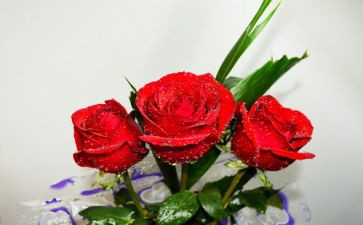 520淘宝活动方案参考5篇