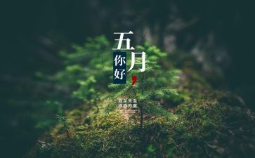 2023年5月工作总结精选5篇