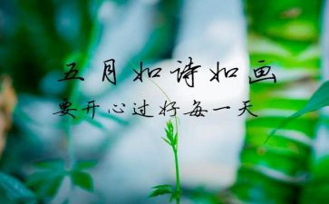 2023年5月工作总结8篇
