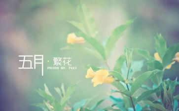 物业工作5月份工作总结6篇