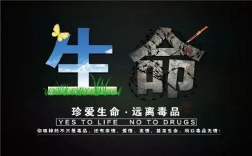 626活动方案优质5篇