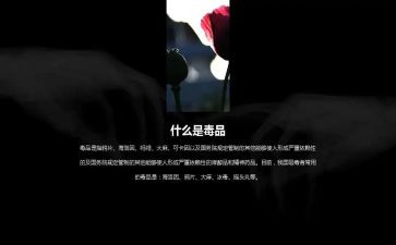 626事故调查报告最新7篇