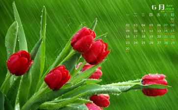 6月1活动总结5篇
