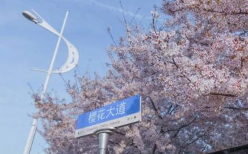 985毕业生自我鉴定精选6篇