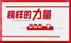 观年榜样心得体会最新5篇