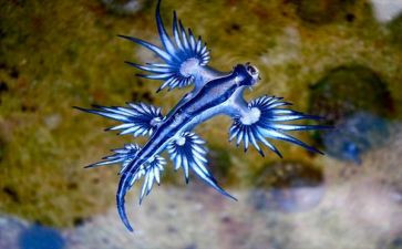 高中生物工作计划7篇