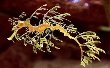 生物馆心得体会7篇