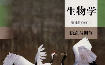 学期生物教师工作总结5篇