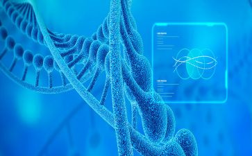 生物教师工作总结个人总结模板8篇
