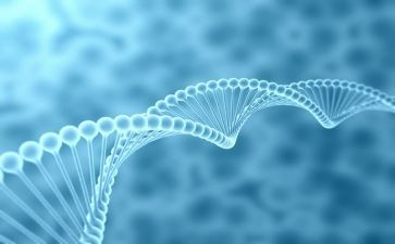 生物教师个人总结优质6篇