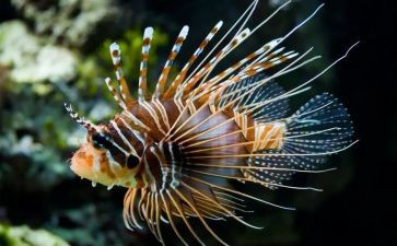 初中生物实验室工作计划8篇