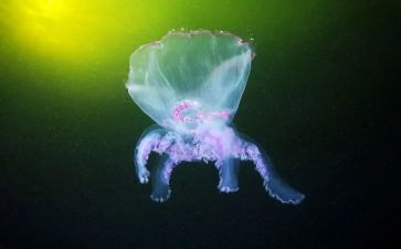 生物下学期工作计划精选7篇