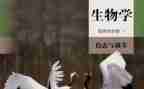 学期生物教师工作总结5篇