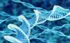初中生物教师年度考核个人总结6篇
