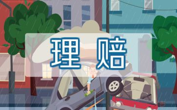 保险员对工作总结模板5篇