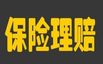 保险公司个人总结5篇