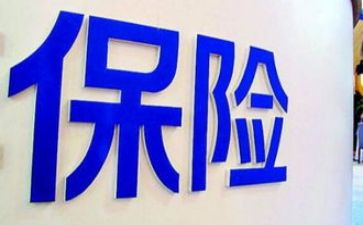 保险的年终总结参考6篇