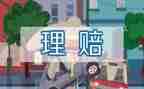 保险员对工作总结模板5篇
