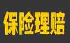 保险工作年终总结优秀8篇