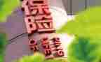 保险工作年终总结模板5篇