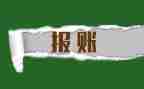 报账员工作个人总结5篇