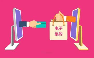 采购个人总结工作总结精选6篇