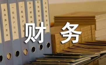 4店财务工作总结推荐8篇