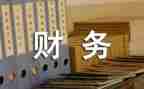4店财务工作总结推荐8篇