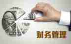 局计划财务工作总结推荐7篇