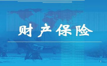 财险公司的工作总结5篇