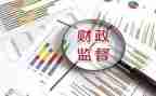 财政会计工作总结个人总结5篇
