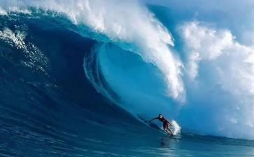 的尝试作文800字8篇