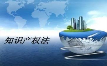 知识产权活动总结5篇