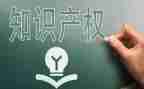 公司知识产权工作总结8篇