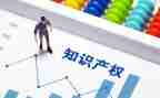 知识产权宣传总结优秀8篇