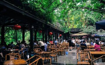 成都旅游作文8篇
