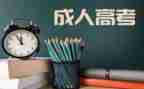 小学生养成工作计划7篇